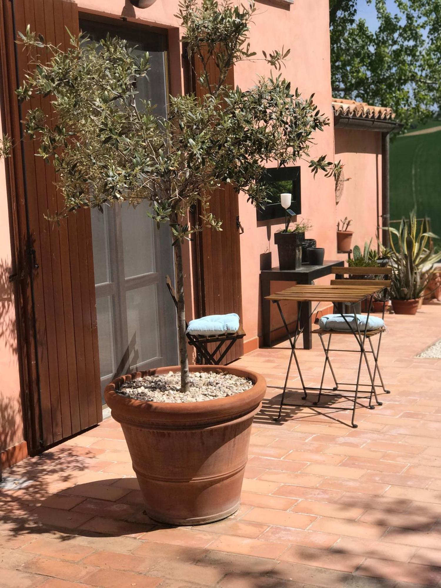 Il Posto Perfetto Bed & Breakfast Santa Maria Nuova  ภายนอก รูปภาพ