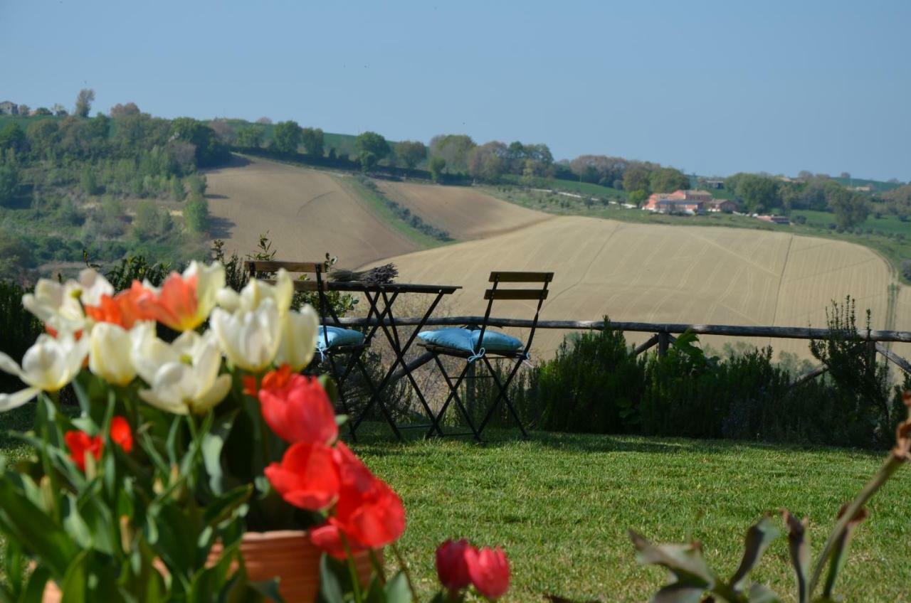 Il Posto Perfetto Bed & Breakfast Santa Maria Nuova  ภายนอก รูปภาพ
